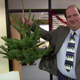 Image for article titled Gifts For Your Holiday-Party Host (Besides Booze)
